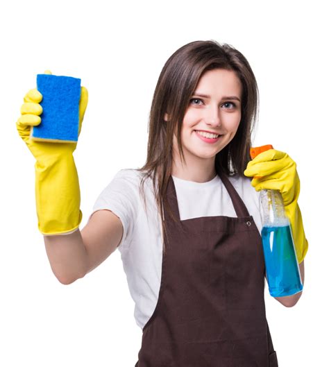 professional home cleaning services|Homeaglow .